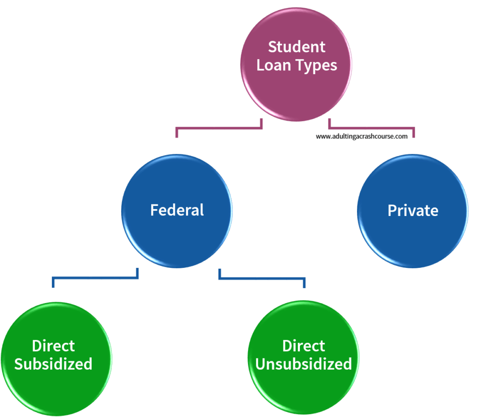 adulting student loan types