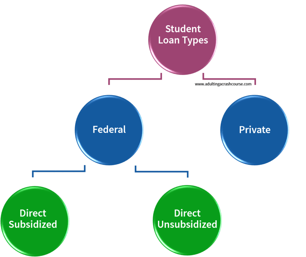 Student Loan Basics Adulting A Crash Course
